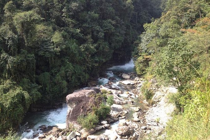 Ghorepani Poon Hill Trek - Day 5: Tadapani, Ghandruk, and return toward Pokhara