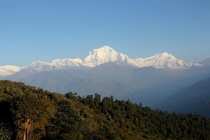 Ghorepani Poon Hill Trek - The guide can shape the whole experience