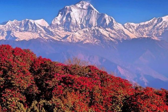 Ghorepani Poonhill Trek -8 Days - What this eight-day Nepal trip is really like