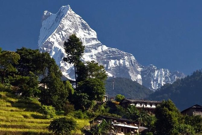 Ghorepani Poonhill Trek -8 Days - Day 4: Ulleri to Ghorepani and the rhododendron forests