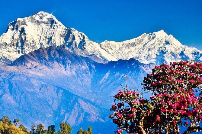 Ghorepani Poonhill Trek -8 Days - Day 7: Leaving the mountains for Kathmandu
