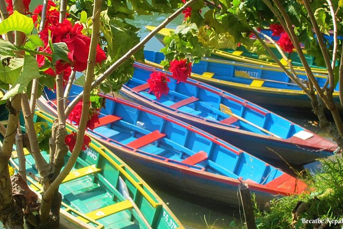 Half-Day Private Pokhara Tour - Who Should Book This Pokhara Tour?
