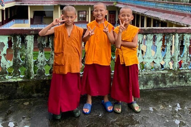 Half Day Tibetan Cultural tour Pokhara - Tibetan medicine and pulse reading