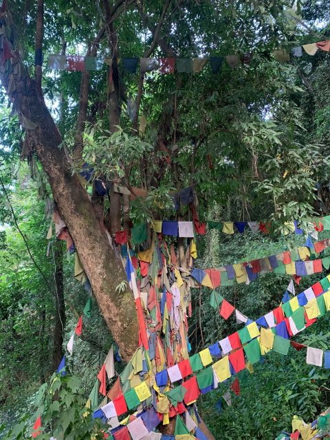 Healing Day tour - Shaman Healing - Lunch or snacks with a Nepali family