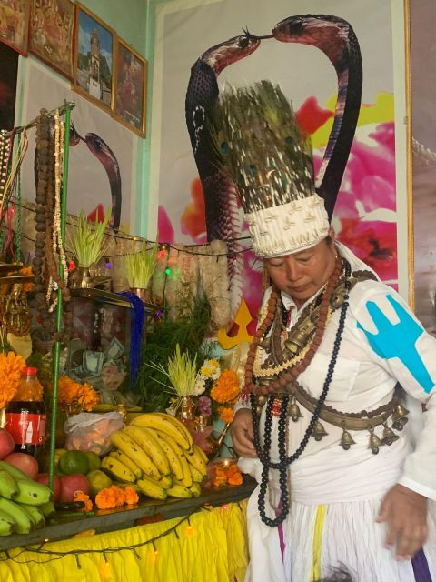 Healing Day tour - Shaman Healing - Is $80 a fair price?