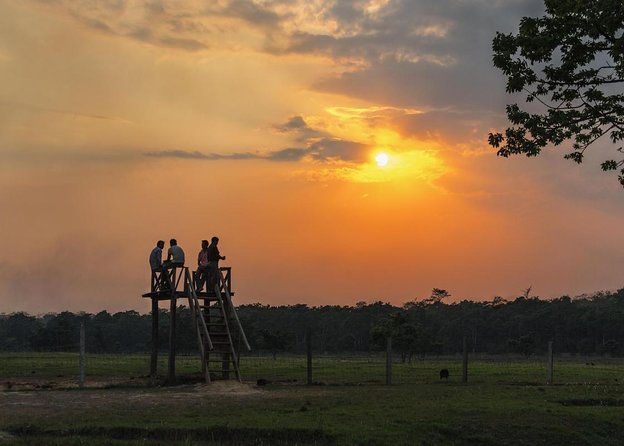 Jeep safari (4-5 hrs. Sharing) inside Chitwan National Park. - A Four-and-a-Half-Hour Safari in Chitwan