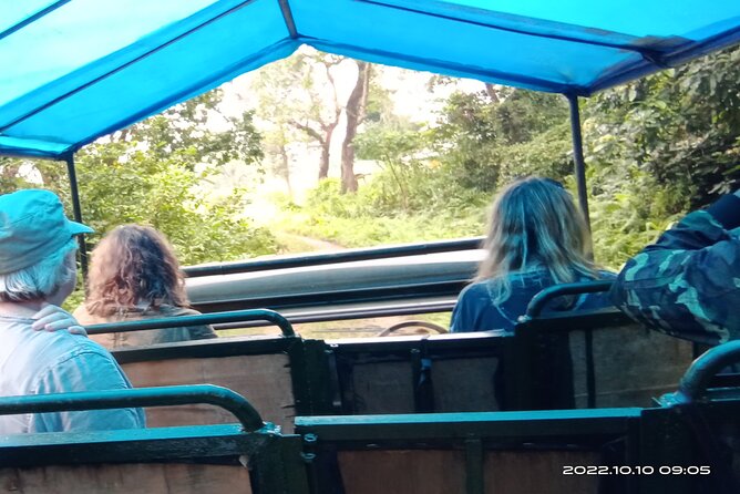Jeep safari (4-5 hrs. Sharing) inside Chitwan National Park. - Wildlife You Might See Along the Route