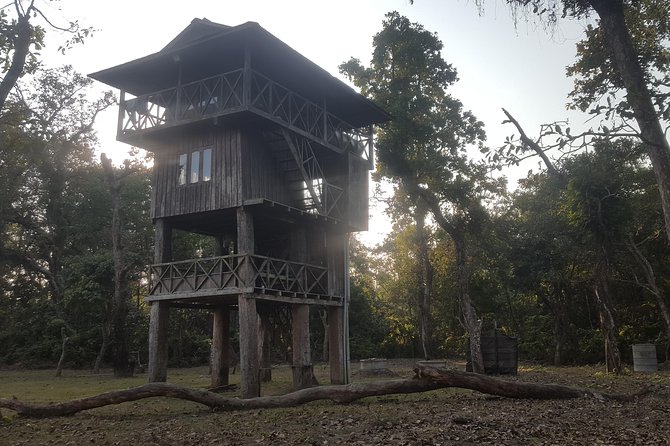 Jungle Towernight Stay In Chitwan National Park ,nepal-2 Nights 3 Days Package - Walking and bird watching at ground level