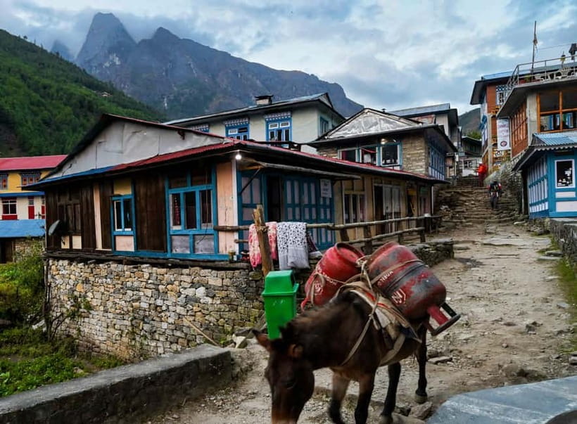 Kathmandu: 15-Day Everest Base Camp Trek with Guide - From Kathmandu temples to the Lukla runway