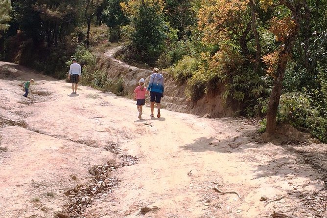 Kathmandu: 2 Nights 3 Days Chisapani Nagarkot Trek - The mountain-view question