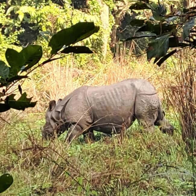 Kathmandu: 3-Day Chitwan Safari Tour with Hotel Transfers - Why Chitwan works in a three-day trip