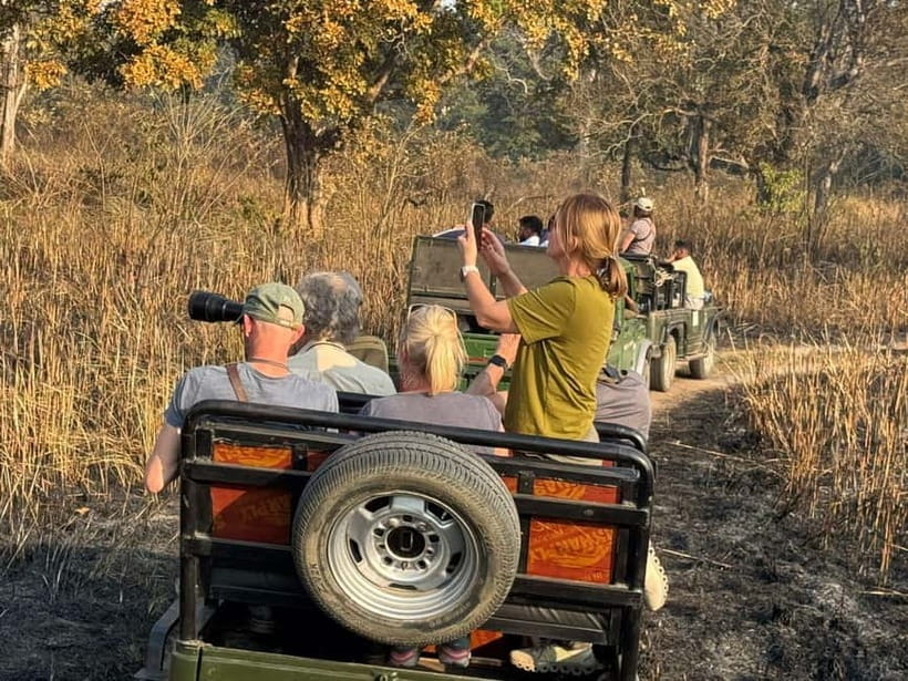 Kathmandu: 3-Day Chitwan Safari Tour with Hotel Transfers - Day one: arrival, the park, and Tharu culture