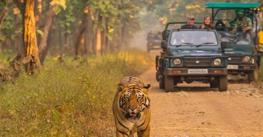 Kathmandu: 4-Day Private Chitwan National Park Safari Tour - Key points to know before booking