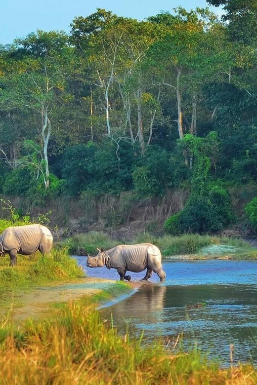 Kathmandu: 4-Day Private Chitwan National Park Safari Tour - Day 4: A final nature walk and onward travel