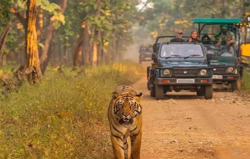 Kathmandu: 4-Day Private Chitwan National Park Safari Tour - What the $202 price really covers