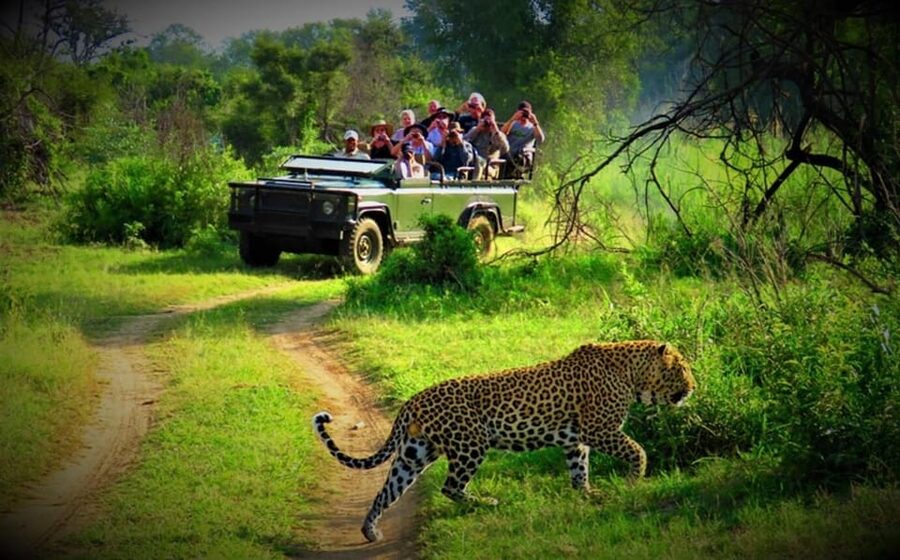 Kathmandu: 4-Day Private Chitwan National Park Safari Tour - The hotel and service level