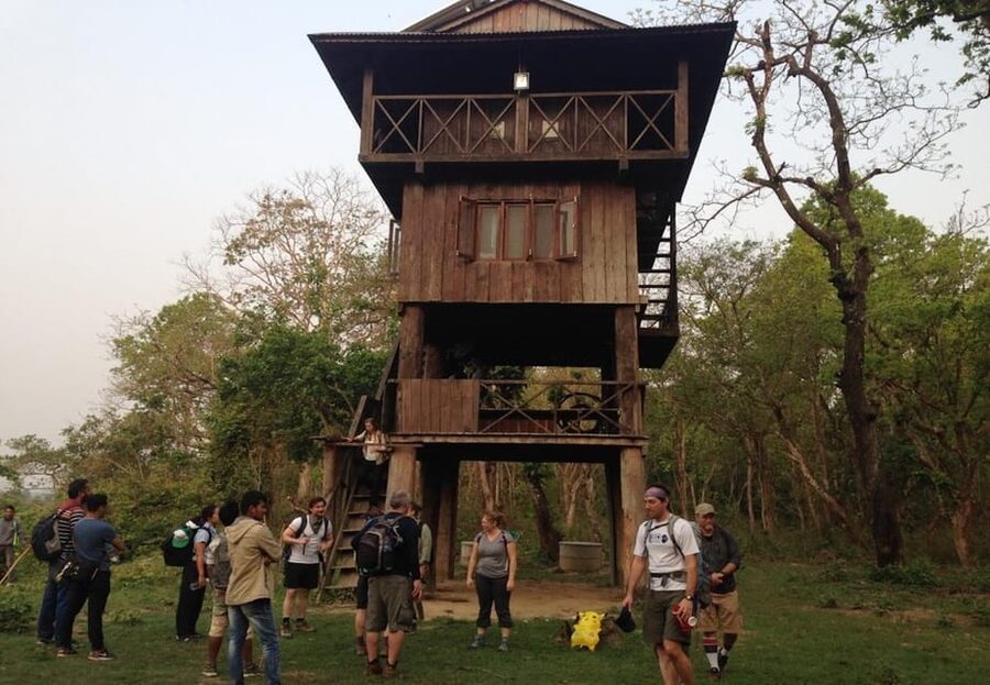 Kathmandu: 4-Day Private Chitwan National Park Safari Tour - Wildlife expectations and practical limits