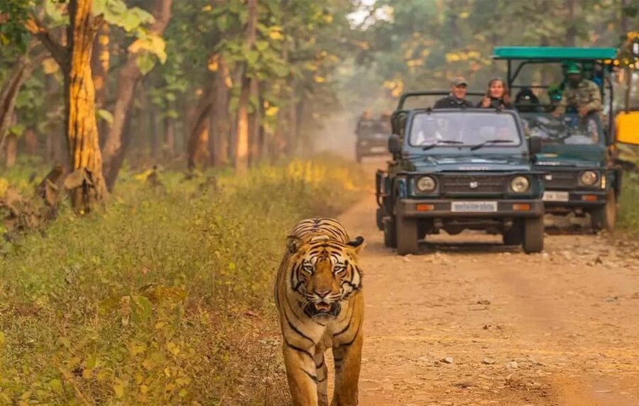 Kathmandu: 4-Day Private Chitwan National Park Safari Tour - Day 1: Kathmandu to Chitwan by tourist bus