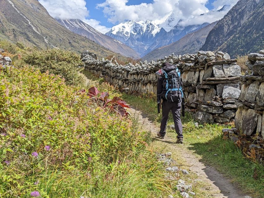 Kathmandu: 6-Day Limitless Langtang Trek - Why Langtang works well for a short Nepal trek