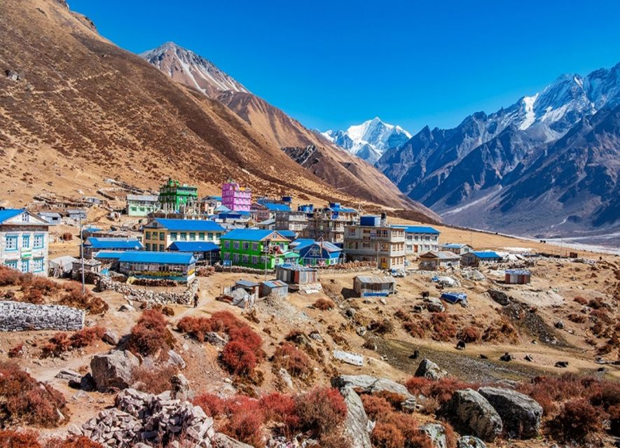 Kathmandu: 6-Day Limitless Langtang Trek - Day 5: Descending beside the Langtang River