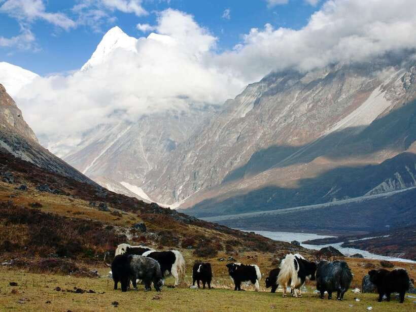 Kathmandu: 6 Days Langtang Valley Trek with Kyanjin Ri - Food, rooms, and what you still pay for