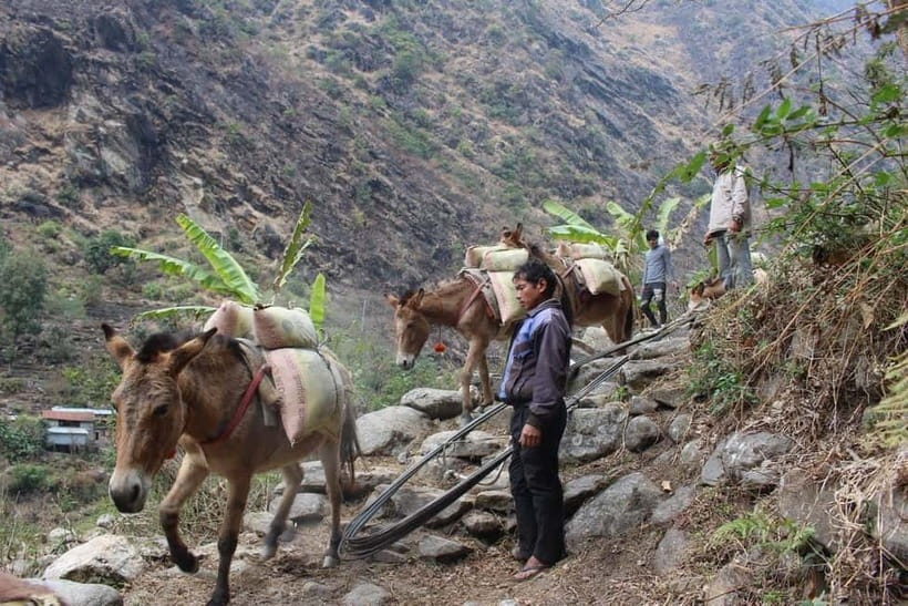 Kathmandu: 9-Day Annapurna Circuit Trek via Thorong La Pass - Day 6: Manang to Yak Kharka