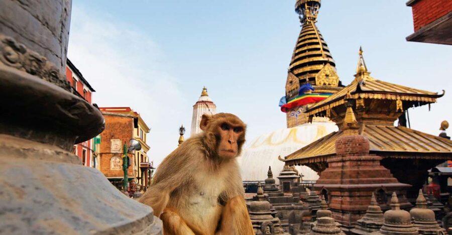 Kathmandu: Chandragiri cable car & Swayambhunath Tour - Key points to know before you book