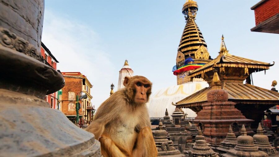 Kathmandu: Chandragiri cable car & Swayambhunath Tour - Two Kathmandu viewpoints in one seven-hour outing