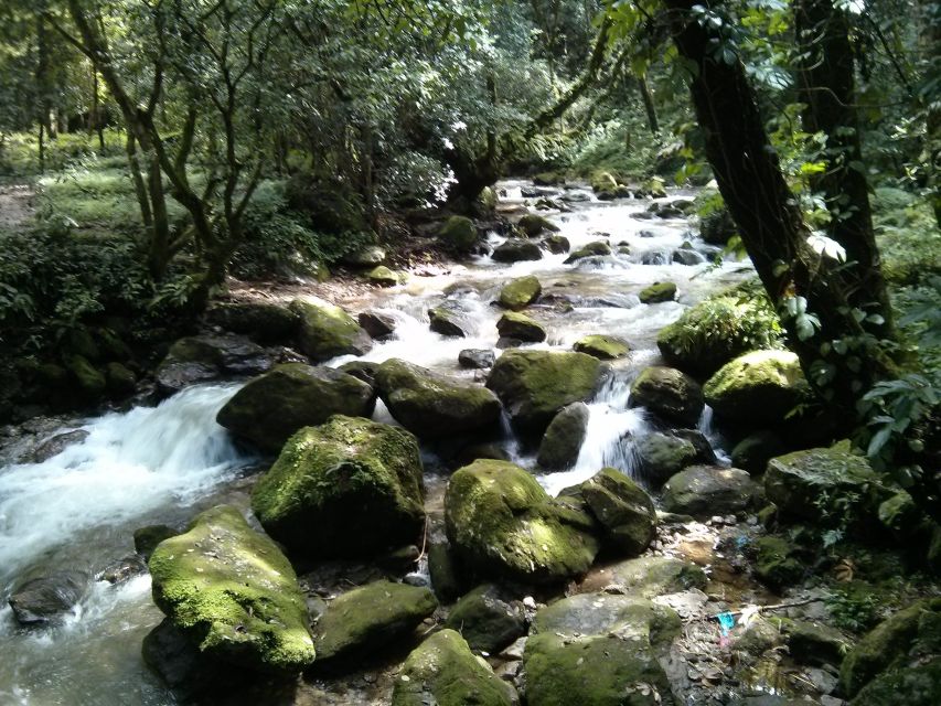 Kathmandu: Chisapani Nagarkot 3-Days 2-Nights Trek - Day two: Chisapani to Nagarkot, the demanding middle day