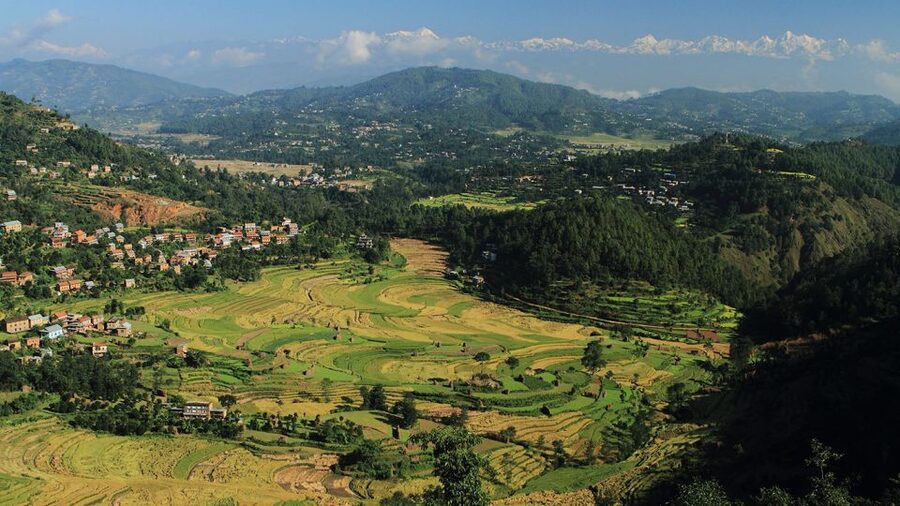 Kathmandu: Chisapani Nagarkot 3-Days 2-Nights Trek - Guides, transfers, and how the service affects the trek