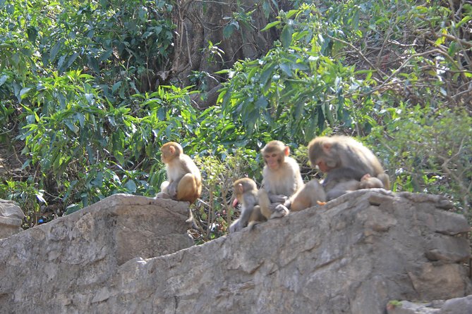 Kathmandu Day Tour - Pashupatinath and the Bagmati River