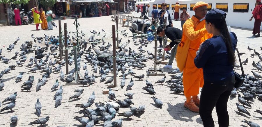 Kathmandu: Guided -Day Tour of World Heritage Sites - What the private car and guide add