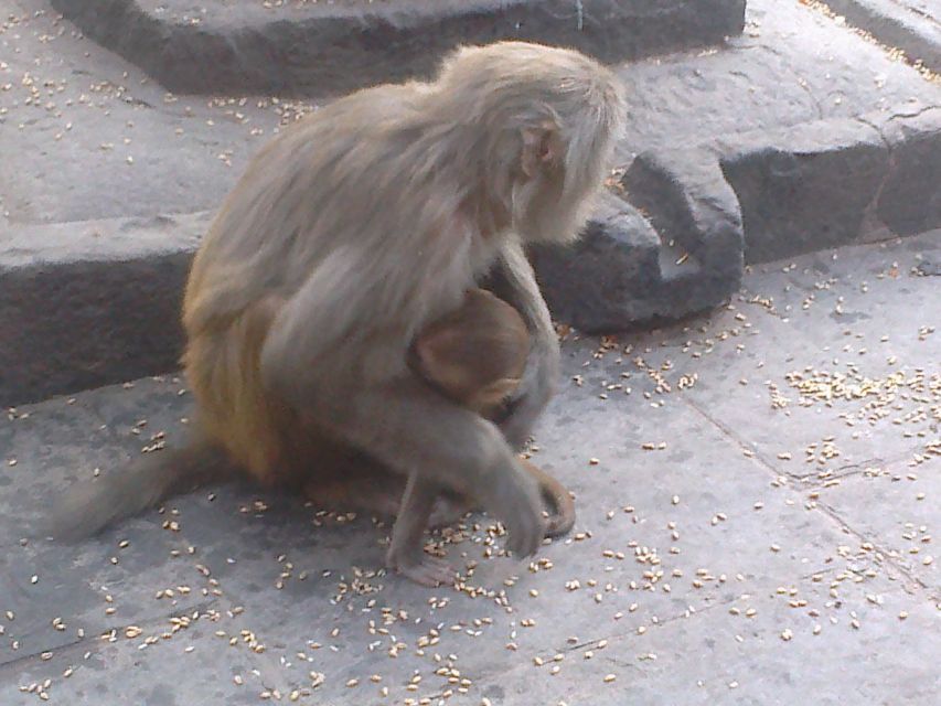 Kathmandu: Monkey Temple and Chandragiri Cable Car Ride Tour - Is $47 a good value?