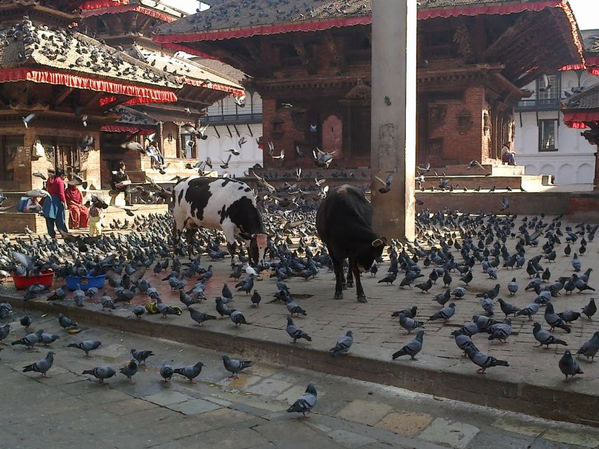 Kathmandu: Monkey Temple and Chandragiri Cable Car Ride Tour - What to bring and how to pace yourself