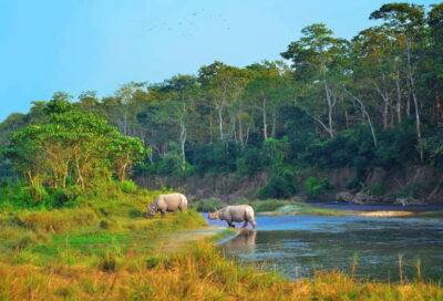 Kathmandu/Pokhara: 3 Day Chitwan Jungle Safari Tour