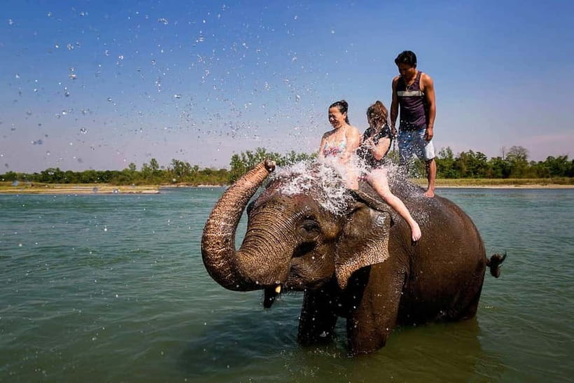 Kathmandu/Pokhara: 3 Day Chitwan Jungle Safari Tour - What the $129 price really covers