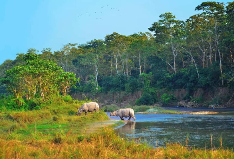 Kathmandu/Pokhara: 3 Day Chitwan Jungle Safari Tour - Day 1: The road to Sauraha and a first taste of Chitwan