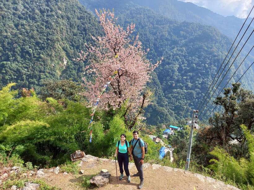 Kathmandu/Pokhara: 5-Day Annapurna Base Camp (ABC) Trek - Day 5: Jhinu Danda hot springs and the road to Pokhara