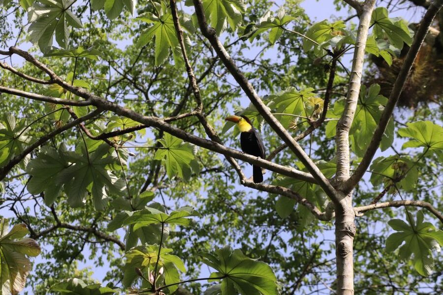 Kathmandu/Pokhara: Wildlife, Culture and Jungle Safari Tour - The elephant breeding center and conservation questions