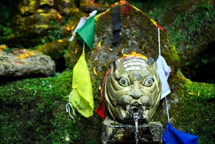 Kathmandu: Shivapuri Day Hike with Lunch - A Mountain Day Out Without Leaving Kathmandu