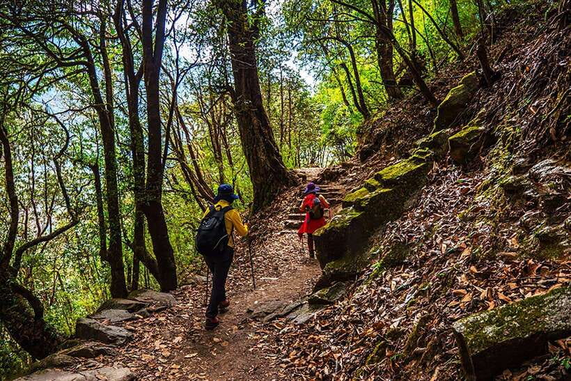Kathmandu: Shivapuri Day Hike with Lunch - Who Should Book This Hike