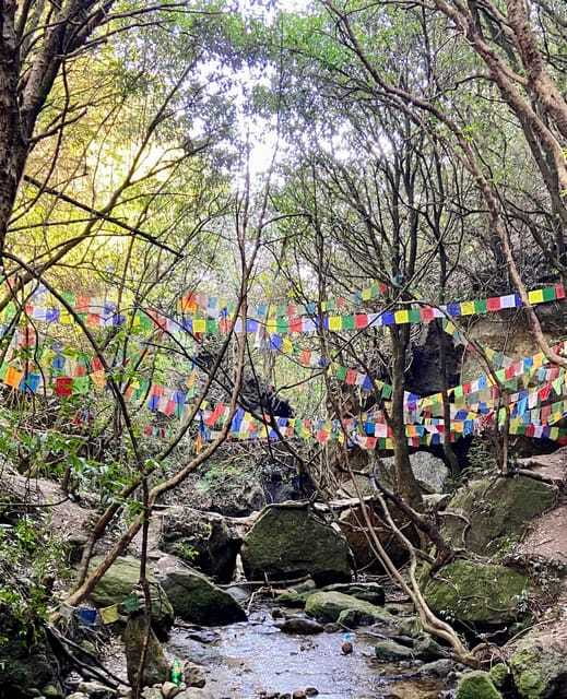 Kathmandu: Shivapuri Hill Day Hike with Lunch box - Should you book it?