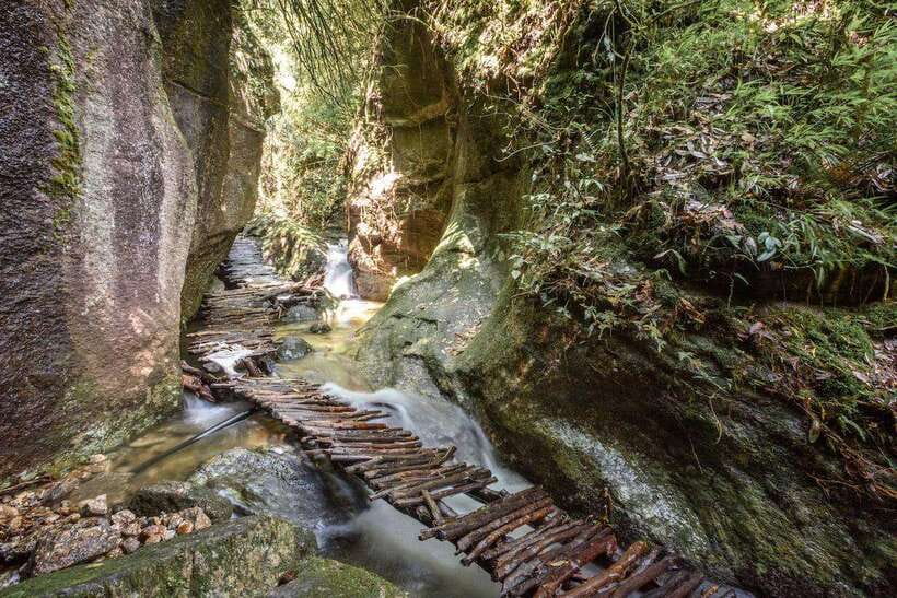 Kathmandu: Shivapuri Hill Day Hike with Lunch box - From Thamel to Shivapuri National Park