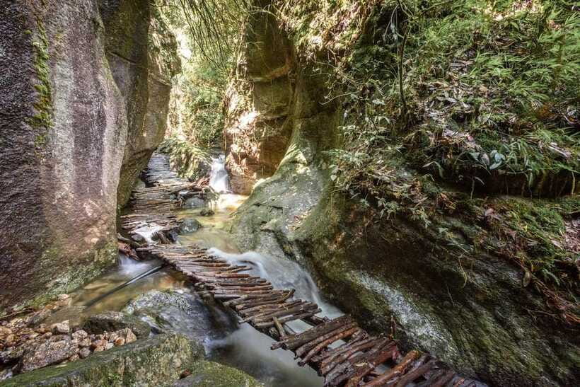 Kathmandu: Shivapuri Hill Day Hike with Lunch box - Who should book this Shivapuri hike?