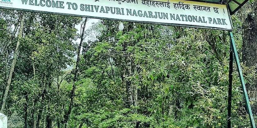 Kathmandu: Shivapuri National park Day Hiking - English or French guiding