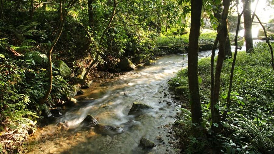 Kathmandu: Shivapuri National Park Hiking Day Trip - What the $61 price really covers