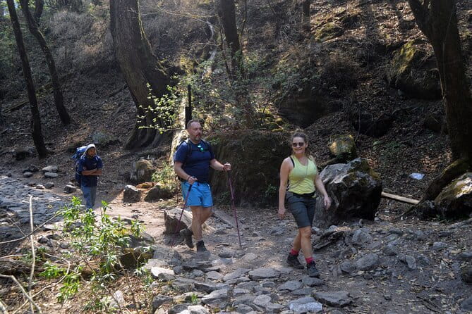 Kathmandu to Langtang Valley 7-Day Trek - Key points to know before booking