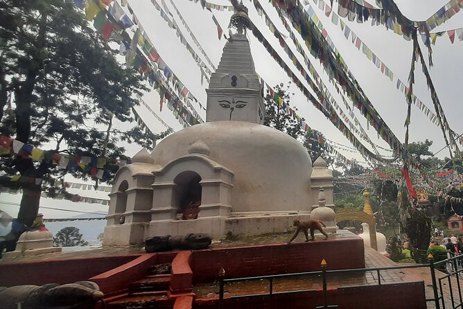 Kathmandu Top 4 or 2 UNESCO World Heritage Sites Day Tour - Pashupatinath and the Bagmati River