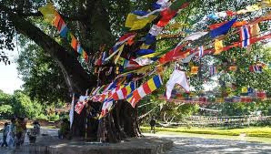 Lumbini Full day tour with Guide - Key points to know before you go