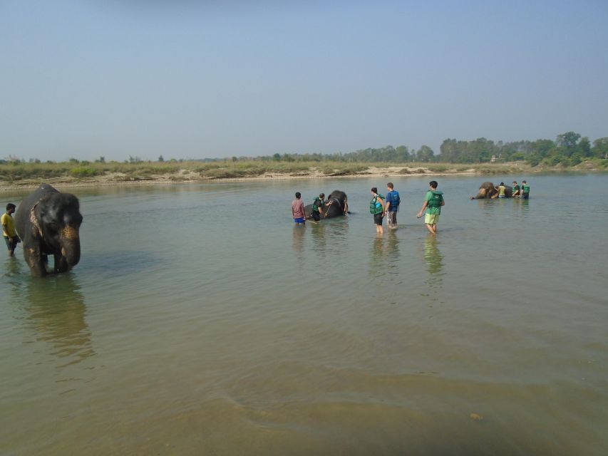 Luxury Chitwan Jungle Safari Package (2Nights/3Days) Resort - From Kathmandu or Pokhara to Chitwan